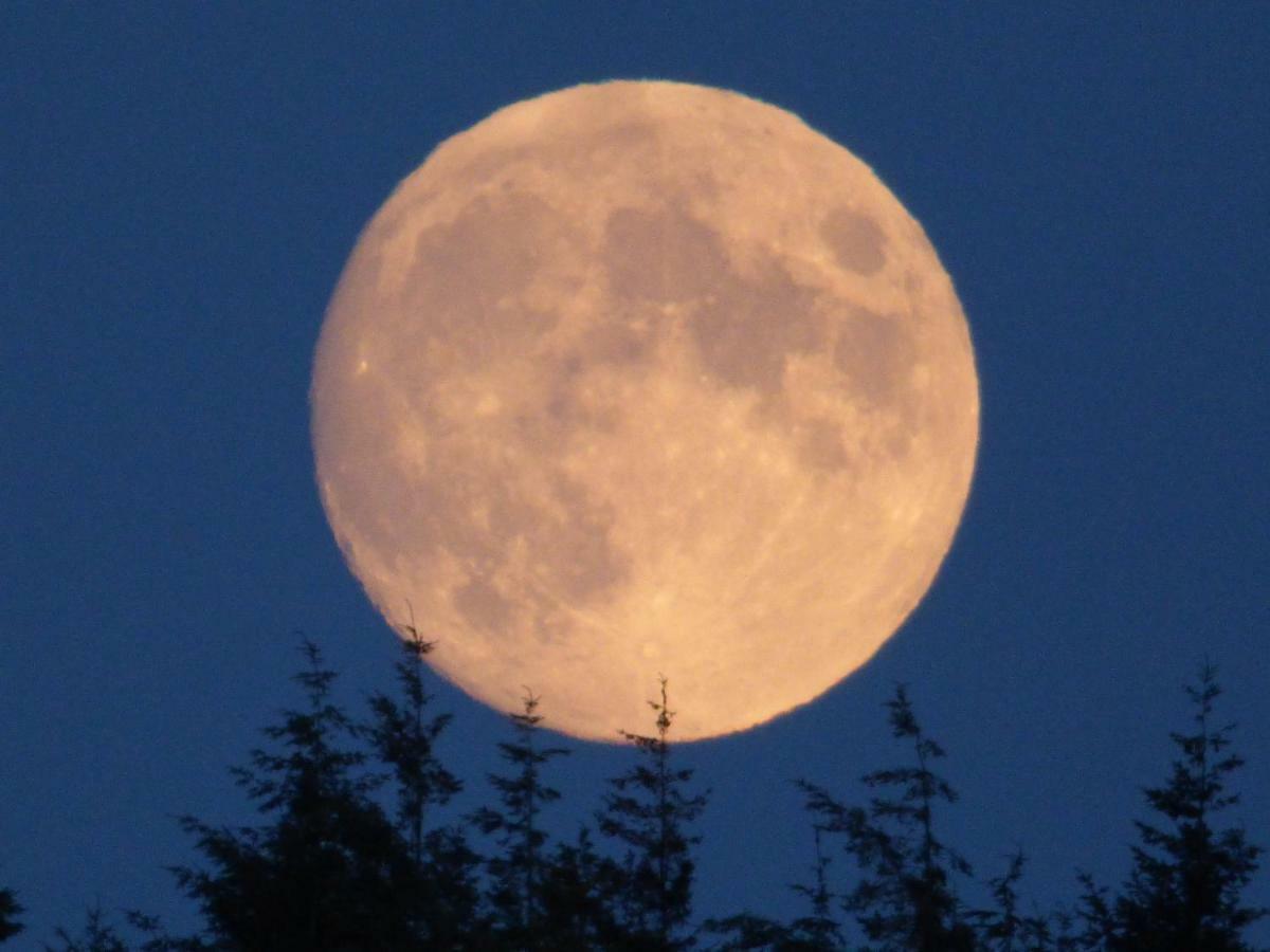 Hunters Moon B&B Tidworth Bagian luar foto